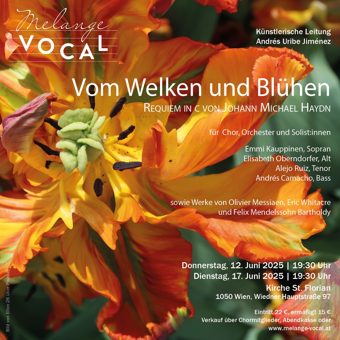 Flyer zum Drucken