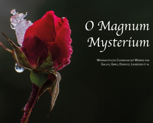 A Magnum Mysterium