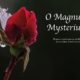 A Magnum Mysterium